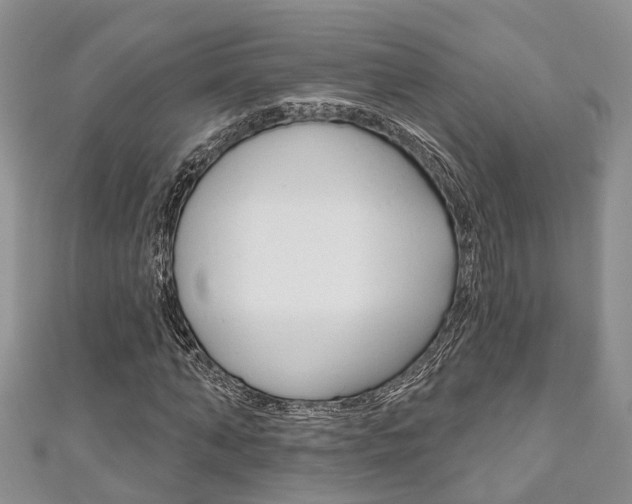 X0000111200870200907011027