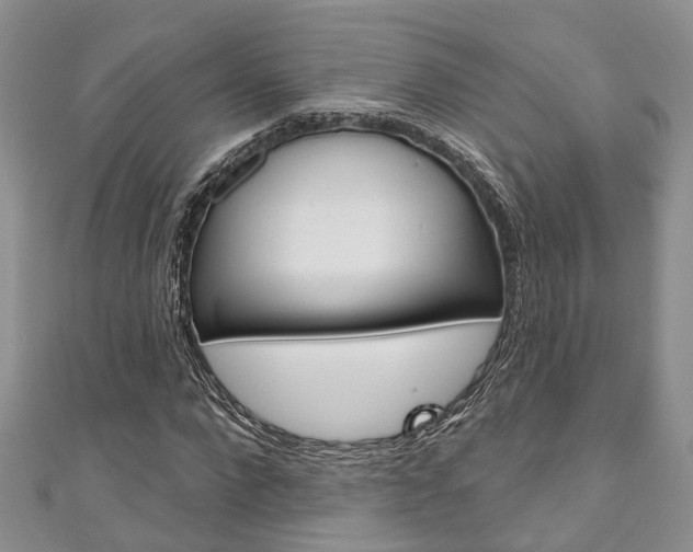 X0000111200872200907011027