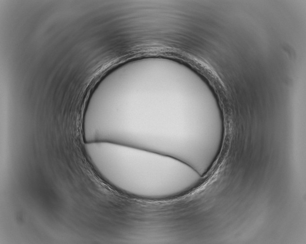 X0000111200873200907011027