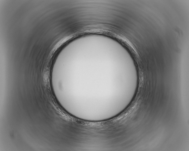 X0000111200874200907011027