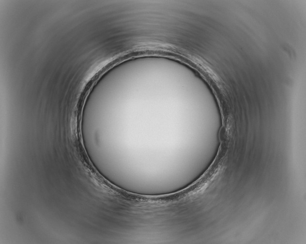 X0000111200877200907011027