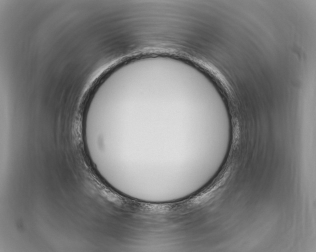 X0000111200878200907011027