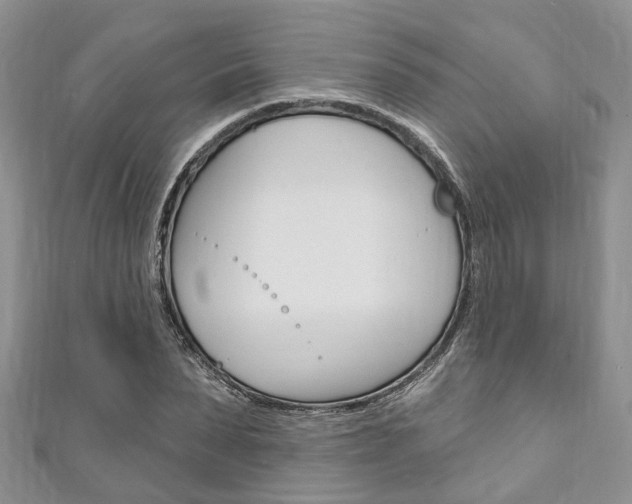 X0000111200879200907011027