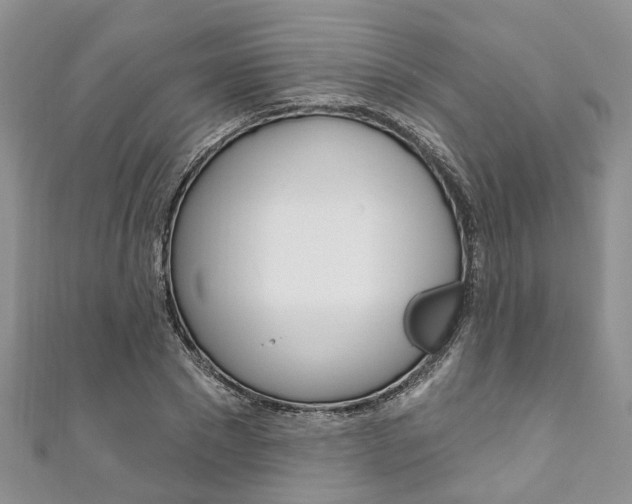 X0000111200881200907011027