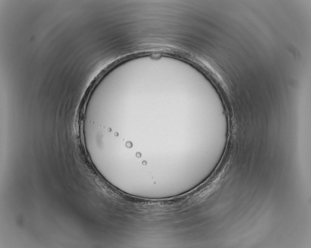X0000111200883200907011027