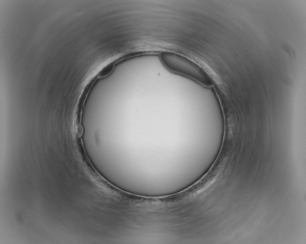X0000111200885200907011027