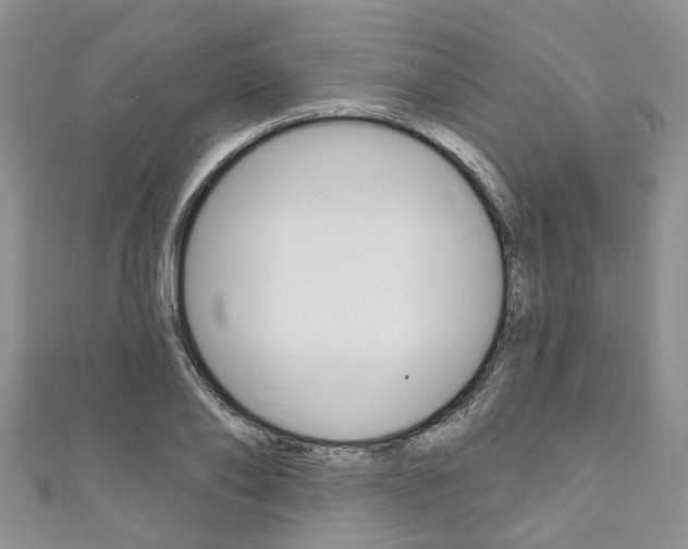 X0000111200886200907011027