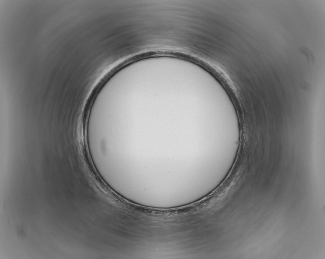 X0000111200887200907011027