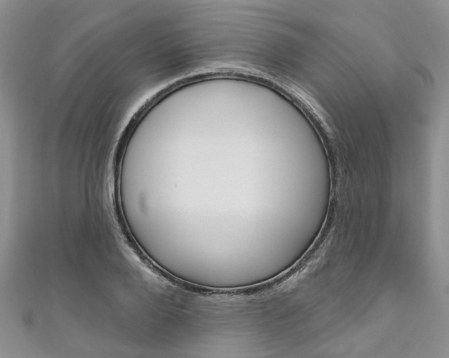 X0000111200888200907011027