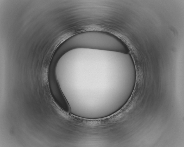 X0000111200889200907011027