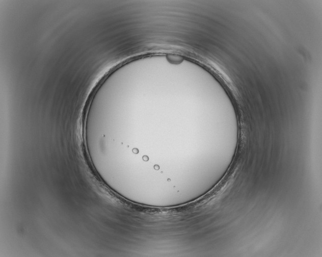 X0000111200891200907011027