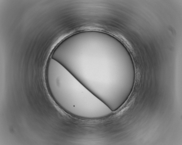 X0000111200893200907011027