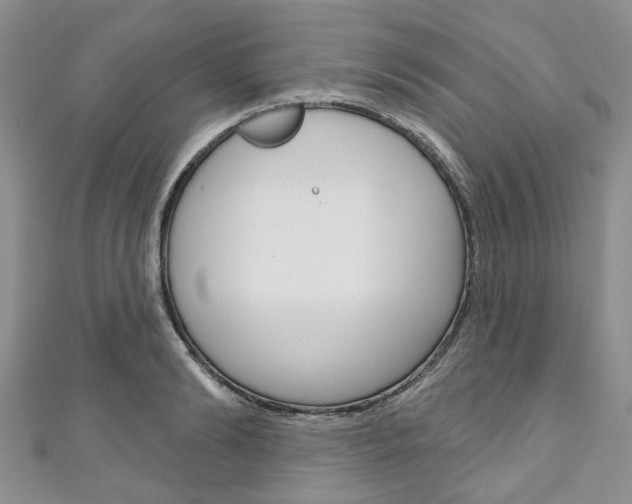X0000111200894200907011027