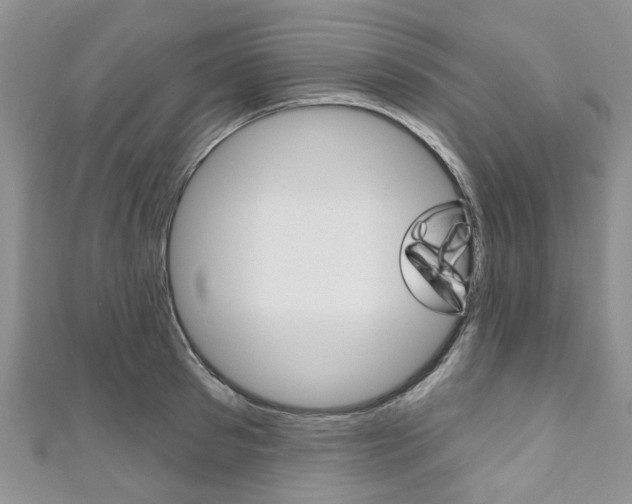 X0000111200897200907011027