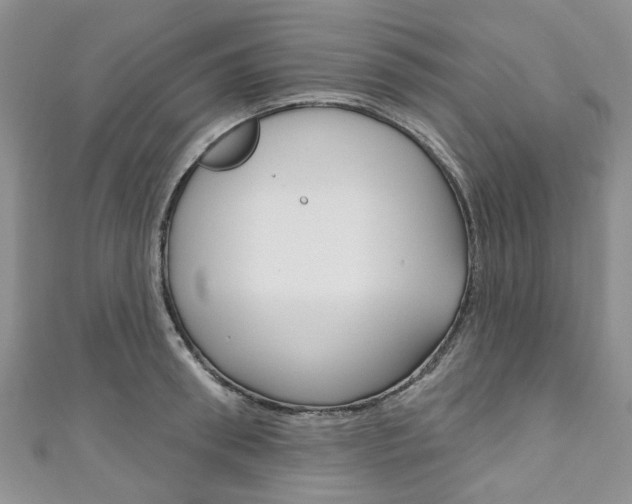 X0000111200898200907011027