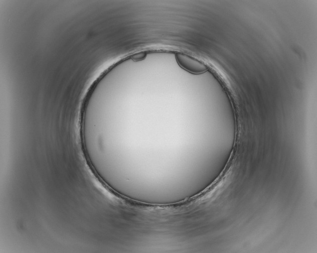 X0000111200902200907011027