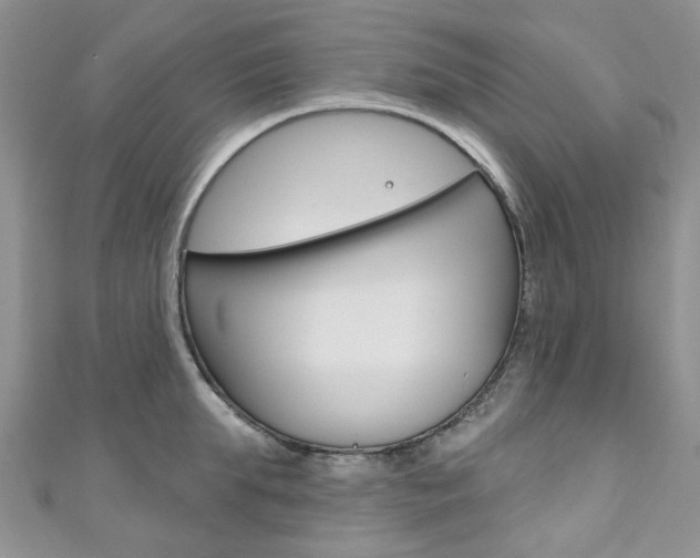 X0000111200903200907011027