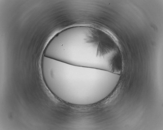 X0000111200907200907011027