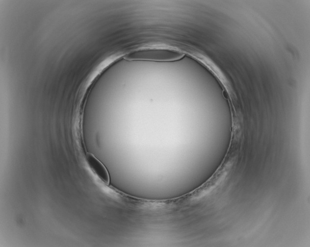 X0000111200909200907011027