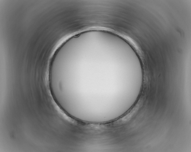 X0000111200910200907011027