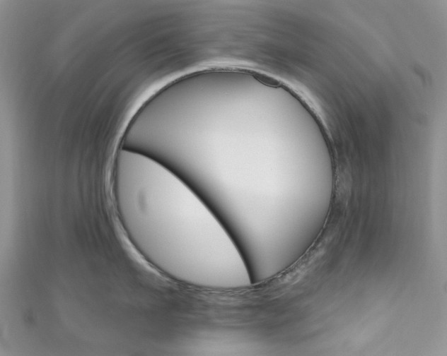 X0000111200911200907011027