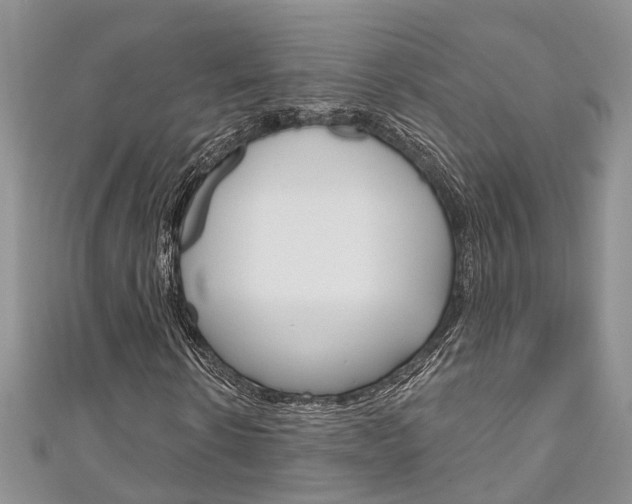X0000111200914200907011026