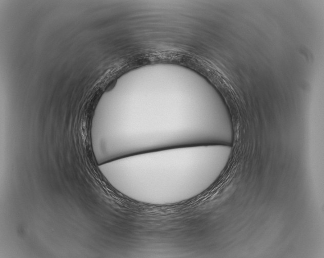 X0000111200915200907011026