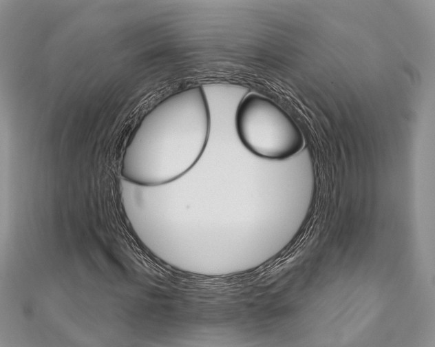X0000111200916200907011026