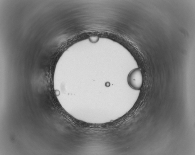 X0000111200918200907011026