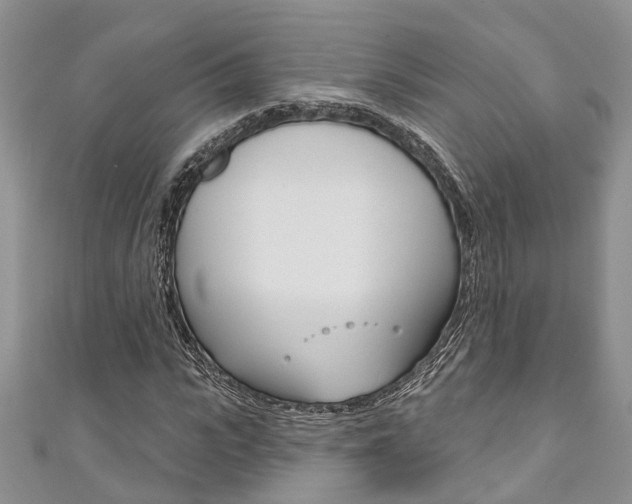 X0000111200919200907011026