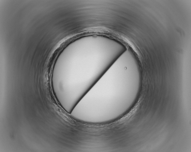 X0000111200923200907011026