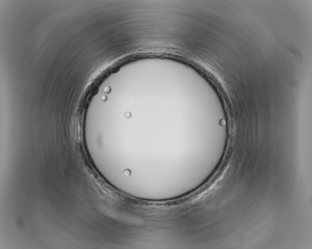 X0000111200925200907011026