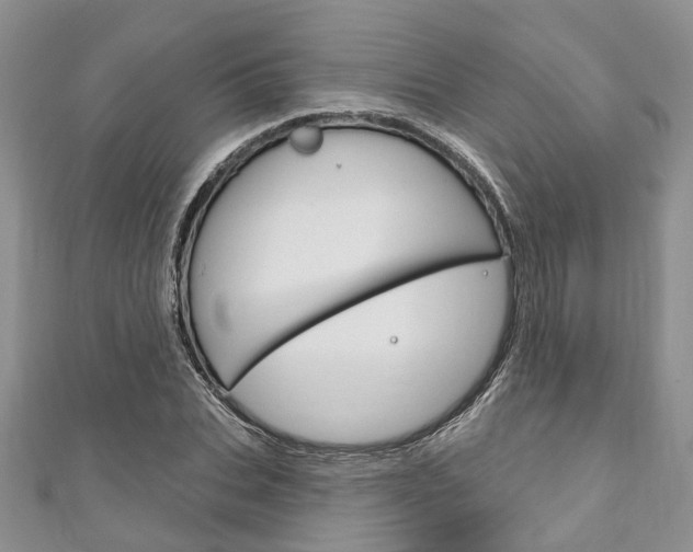 X0000111200927200907011027