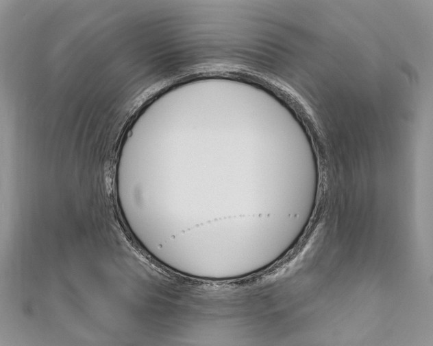 X0000111200929200907011027