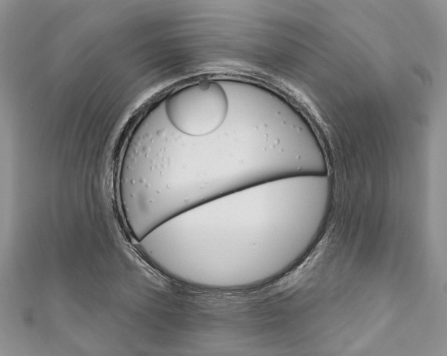 X0000111200931200907011027