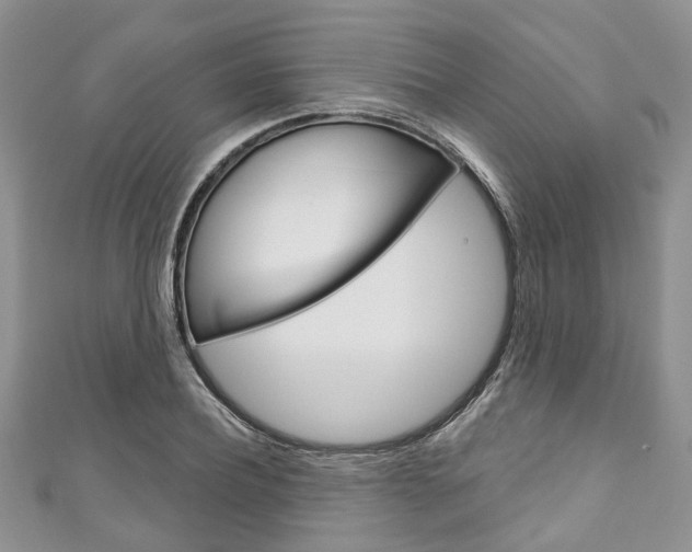 X0000111200932200907011027