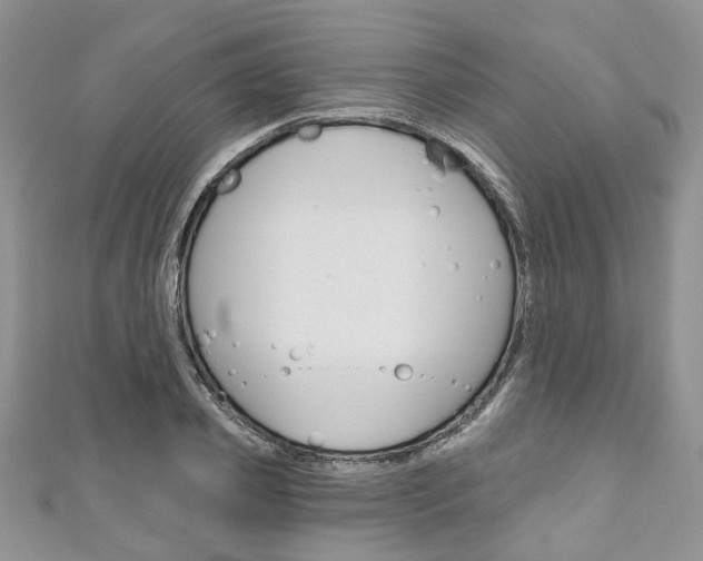 X0000111200933200907011027