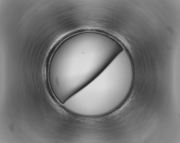 X0000111200934200907011027