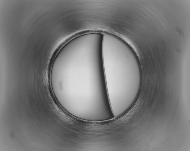 X0000111200935200907011027