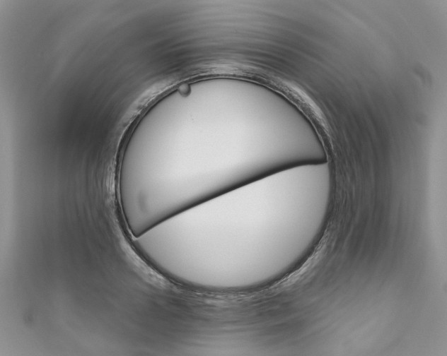 X0000111200938200907011027