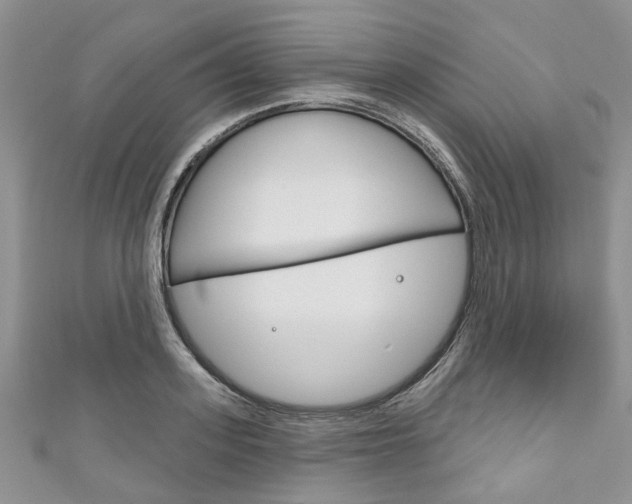 X0000111200939200907011027