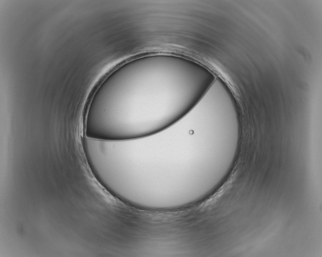 X0000111200940200907011027