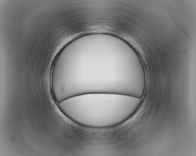 X0000111200941200907011027