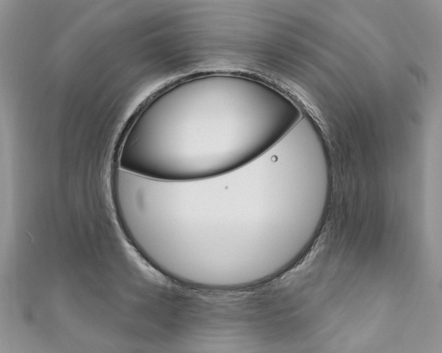 X0000111200942200907011027