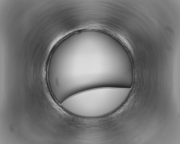 X0000111200944200907011027