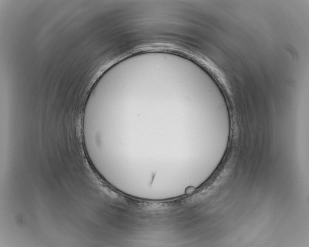 X0000111200945200907011027