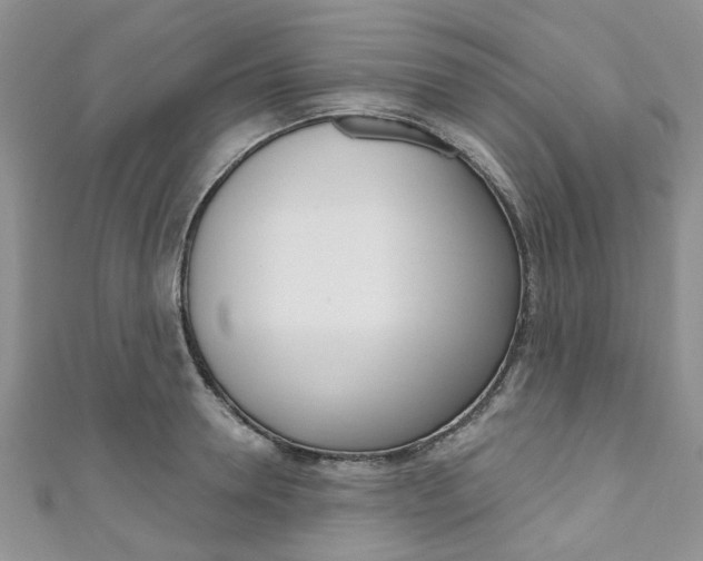 X0000111200946200907011027