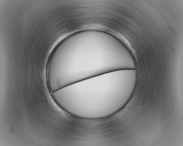 X0000111200947200907011027