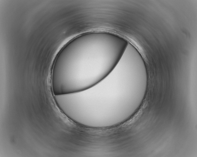 X0000111200948200907011027