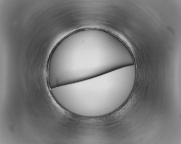X0000111200951200907011027